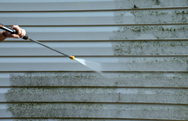 Best Solar Panel Cleaning  in Jamesburg, NJ